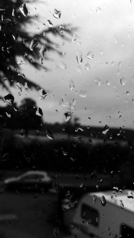 عکس بارون سیاه و سفیدبرای پس زمینه