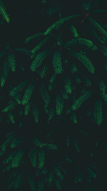 بک گراند سبز پاستیلی ساده