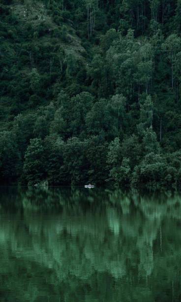 بک گراند سبز پاستیلی ساده