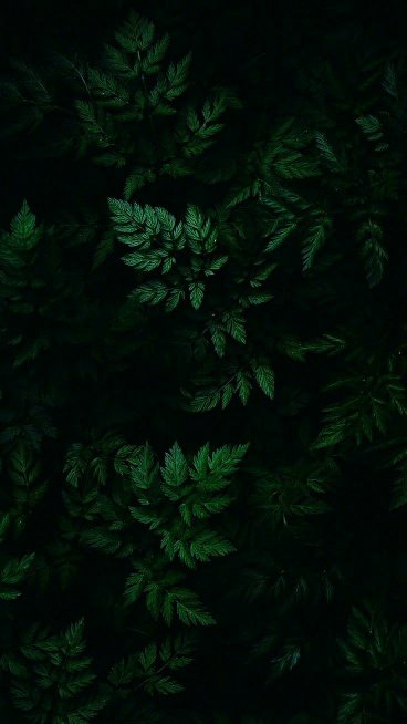 بک گراند سبز پاستیلی ساده