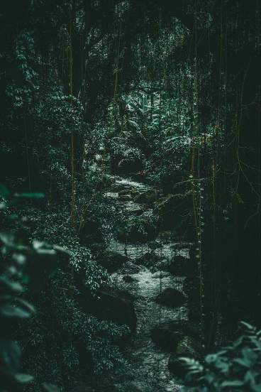 بک گراند سبز پاستیلی ساده