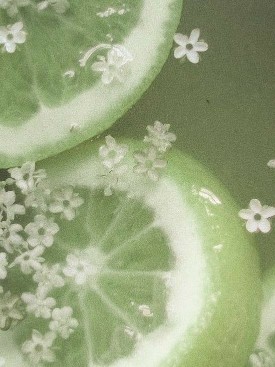  بک گراند سبز لجنی