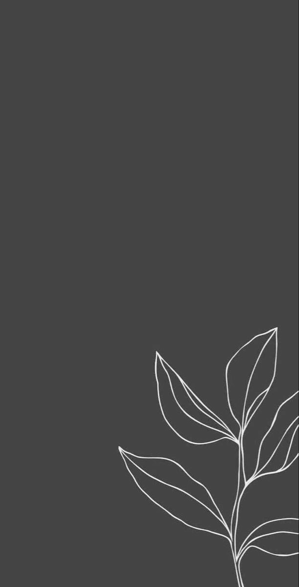 عکس خاکستری فانتزی