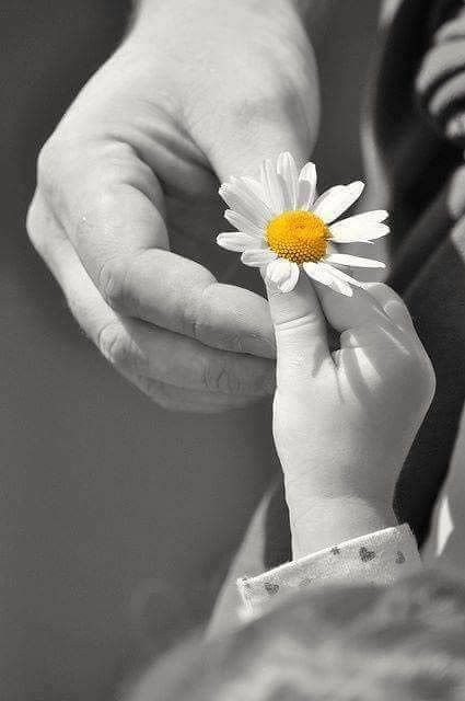 عکس پدر بدون متن