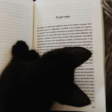 عکس گربه سیاه و سفید فانتزی