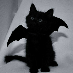 عکس گربه سیاه و سفید فانتزی