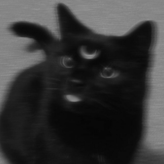 عکس گربه ی سیاه