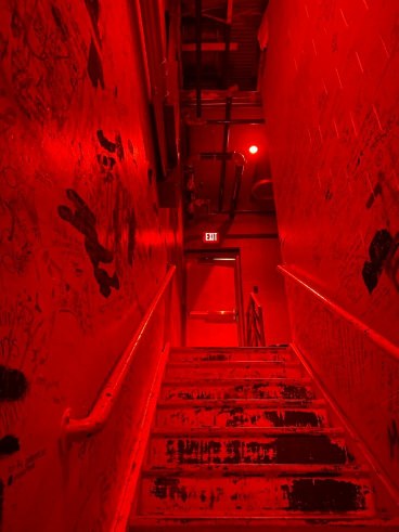 عکس قرمز شاخ