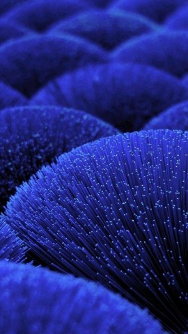 عکس آبی برای پروفایل