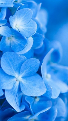 عکس آبی برای پروفایل