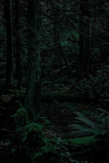  بک گراند سبز یشمی