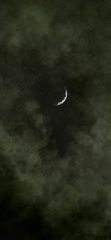 بک گراند سبز لجنی