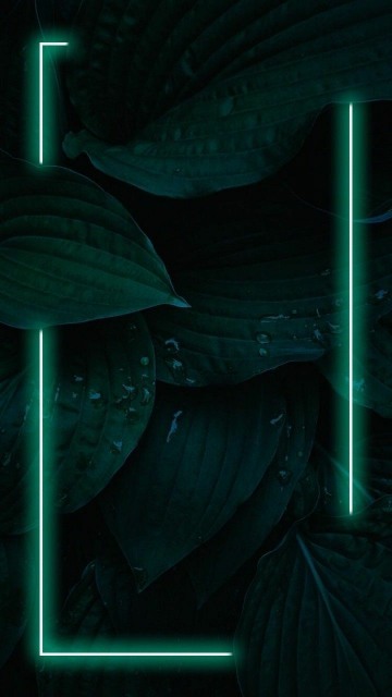  بک گراند سبز یشمی