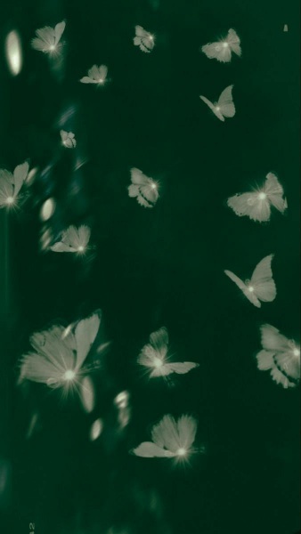  بک گراند سبز یشمی