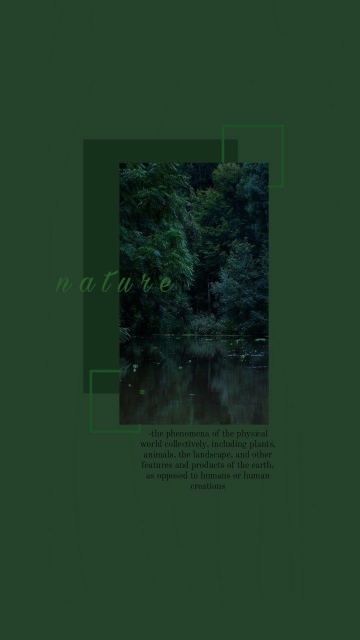  بک گراند سبز یشمی